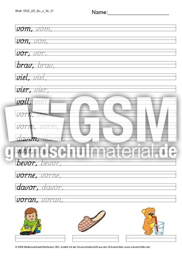 DSS_2S_Bu_v_Nr_01.pdf